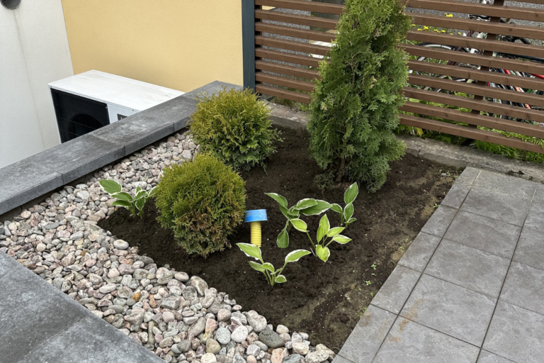 plants 04