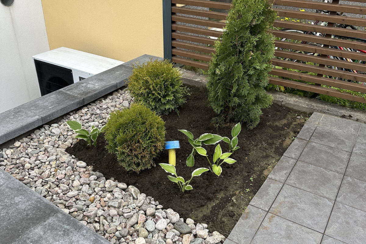 plants 04