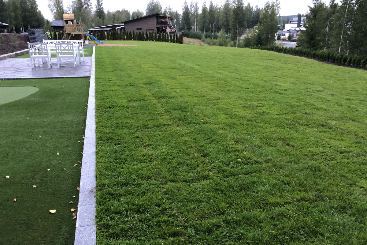 sod installation 5